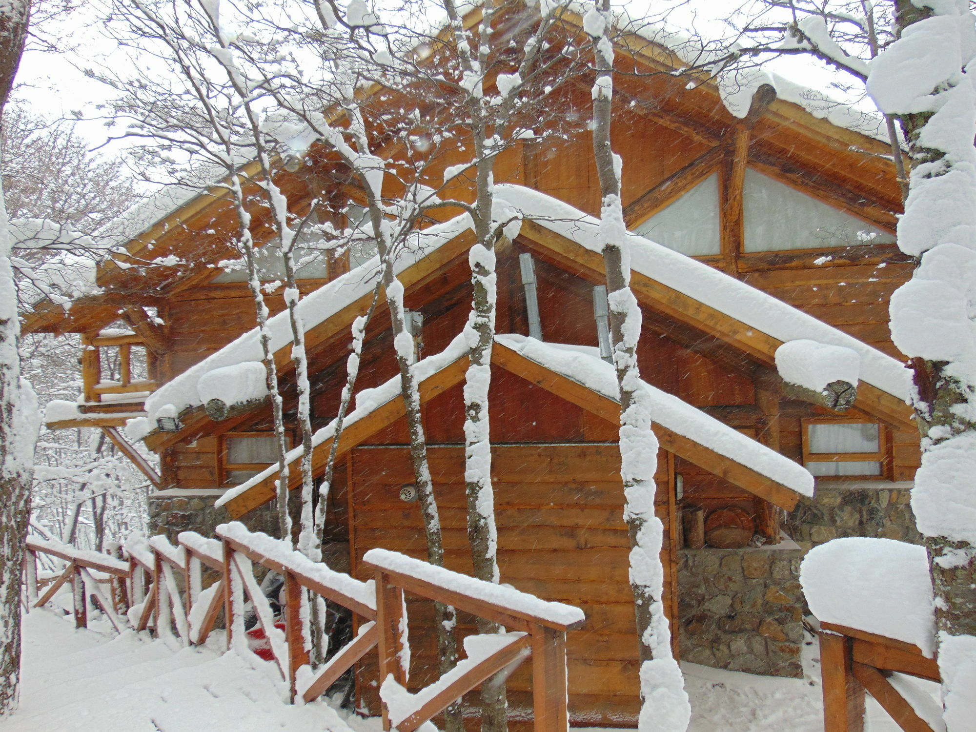 Patagonia Villa Lodge Ushuaia Eksteriør billede